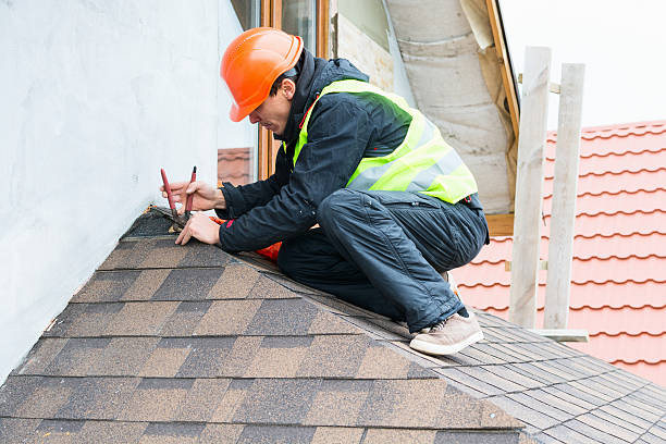Best Storm Damage Roof Repair  in Walden, TN